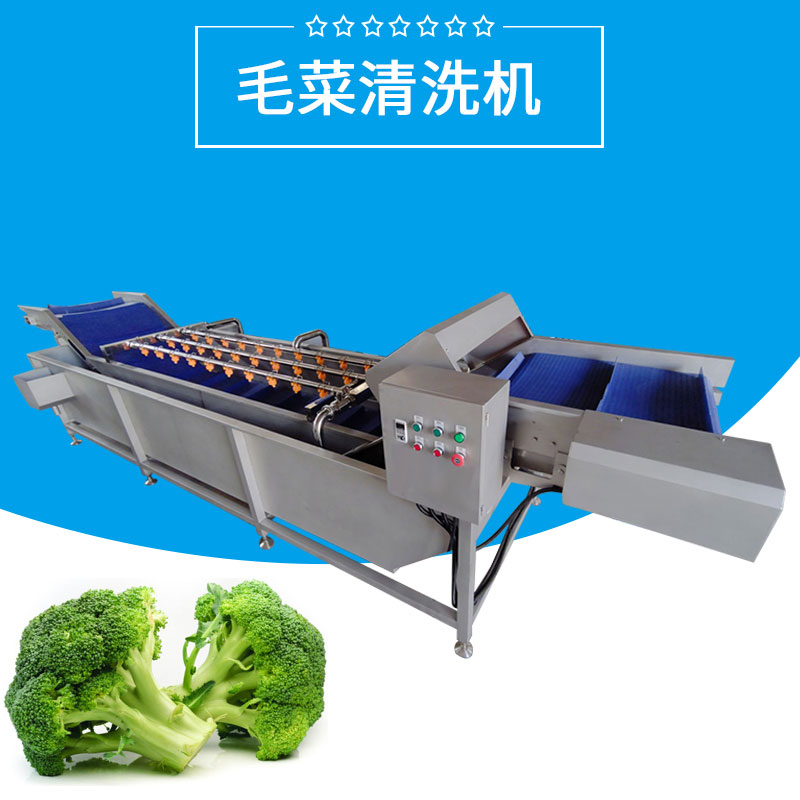 毛菜（cài）清洗機（jī）FJY-5200